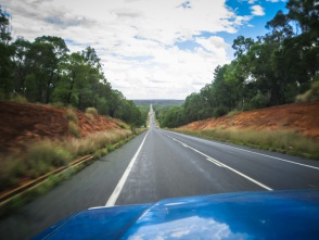 blog_australien_20101027_145025 blog_australien_20101027_145025