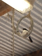 blog_australien_20101108_093639 blog_australien_20101108_093639