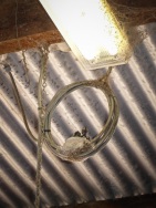 blog_australien_20101111_131336 blog_australien_20101111_131336