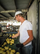 blog_australien_20101115_114959 blog_australien_20101115_114959