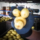 blog_australien_20101115_115338 blog_australien_20101115_115338