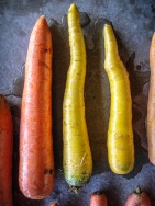 blog_australien_20101127_152957 blog_australien_20101127_152957