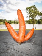 blog_australien_20101127_154609 blog_australien_20101127_154609