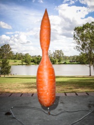 blog_australien_20101127_155113 blog_australien_20101127_155113