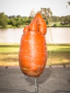 blog_australien_20101127_155230 blog_australien_20101127_155230