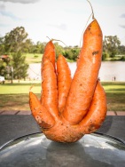 blog_australien_20101127_160317 blog_australien_20101127_160317