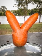 blog_australien_20101127_160722 blog_australien_20101127_160722