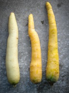 blog_australien_20101127_160908 blog_australien_20101127_160908