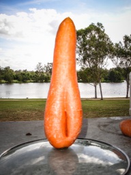 blog_australien_20101127_160939 blog_australien_20101127_160939