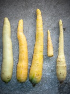 blog_australien_20101127_161033 blog_australien_20101127_161033