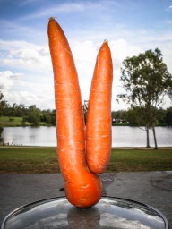 blog_australien_20101127_161155 blog_australien_20101127_161155