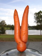 blog_australien_20101127_161224 blog_australien_20101127_161224