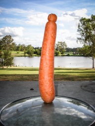 blog_australien_20101127_161340 blog_australien_20101127_161340