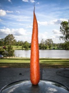 blog_australien_20101127_161622 blog_australien_20101127_161622