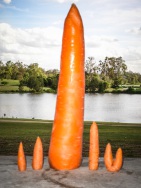 blog_australien_20101127_162348 blog_australien_20101127_162348