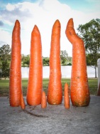 blog_australien_20101127_162550 blog_australien_20101127_162550