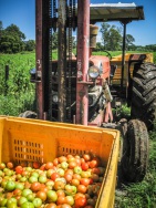 blog_australien_20101221_094053 blog_australien_20101221_094053