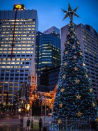 blog_australien_20101224_185527 blog_australien_20101224_185527