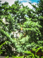 blog_australien_20101230_103230 blog_australien_20101230_103230