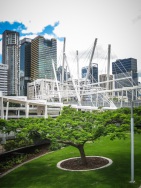 blog_australien_20101230_104842 blog_australien_20101230_104842