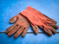 blog_australien_20110115_143549 blog_australien_20110115_143549