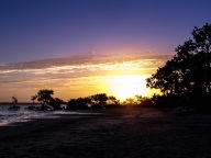 blog_australien_20110115_183325 blog_australien_20110115_183325