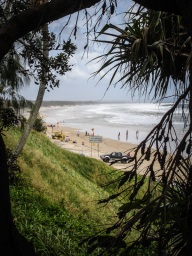 blog_australien_20110116_095748 blog_australien_20110116_095748