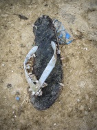 blog_australien_20110116_144131 blog_australien_20110116_144131