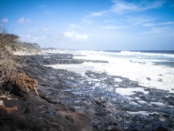 blog_australien_20110117_084431 blog_australien_20110117_084431