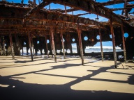 blog_australien_20110117_130337 blog_australien_20110117_130337