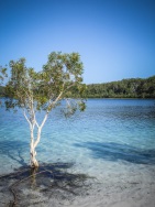 blog_australien_20110117_153348 blog_australien_20110117_153348