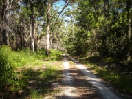 blog_australien_20110118_085509 blog_australien_20110118_085509