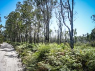 blog_australien_20110118_101249 blog_australien_20110118_101249