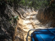 blog_australien_20110118_101525 blog_australien_20110118_101525