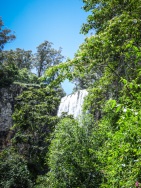 blog_australien_20110121_111554 blog_australien_20110121_111554