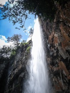 blog_australien_20110121_113127 blog_australien_20110121_113127