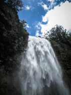 blog_australien_20110121_113317 blog_australien_20110121_113317