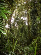 blog_australien_20110121_131622 blog_australien_20110121_131622