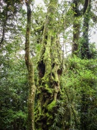 blog_australien_20110121_131916 blog_australien_20110121_131916