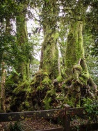 blog_australien_20110121_131951 blog_australien_20110121_131951