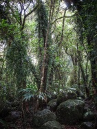 blog_australien_20110121_133040 blog_australien_20110121_133040