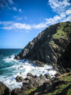 blog_australien_20110122_165250 blog_australien_20110122_165250