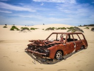 blog_australien_20110124_135308 blog_australien_20110124_135308