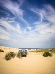 blog_australien_20110124_135359 blog_australien_20110124_135359