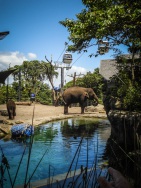 blog_australien_20110129_123407 blog_australien_20110129_123407