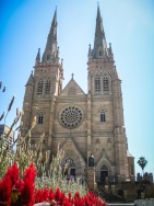 blog_australien_20110201_110559 blog_australien_20110201_110559