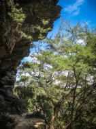 blog_australien_20110205_131041 blog_australien_20110205_131041