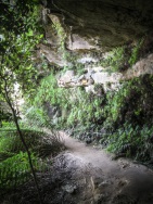 blog_australien_20110205_132708 blog_australien_20110205_132708