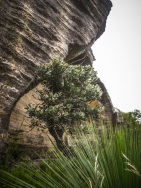 blog_australien_20110206_153528 blog_australien_20110206_153528