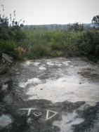 blog_australien_20110206_155703 blog_australien_20110206_155703